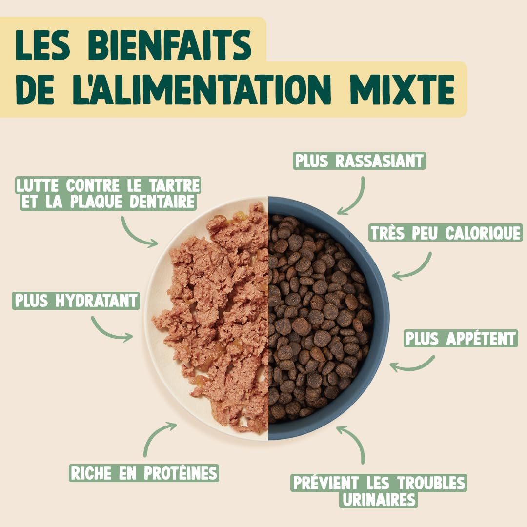 FRANKLIN – Patée pour Chien – Lot 6x400g – 70% de Saumon et Dinde – Riche en Protéines – Contrôle du Poids – Brillance du Poils – Digestion Facile