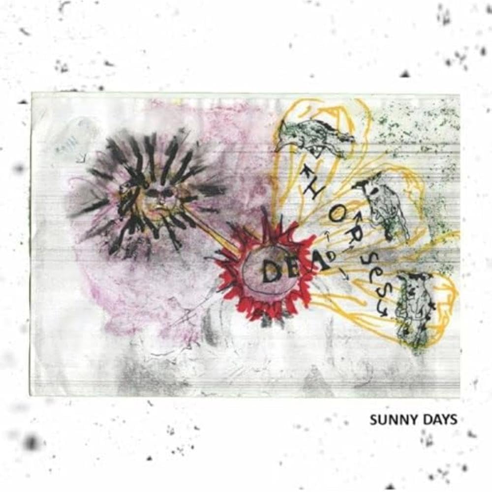 SUNNY DAYS [VINYL]