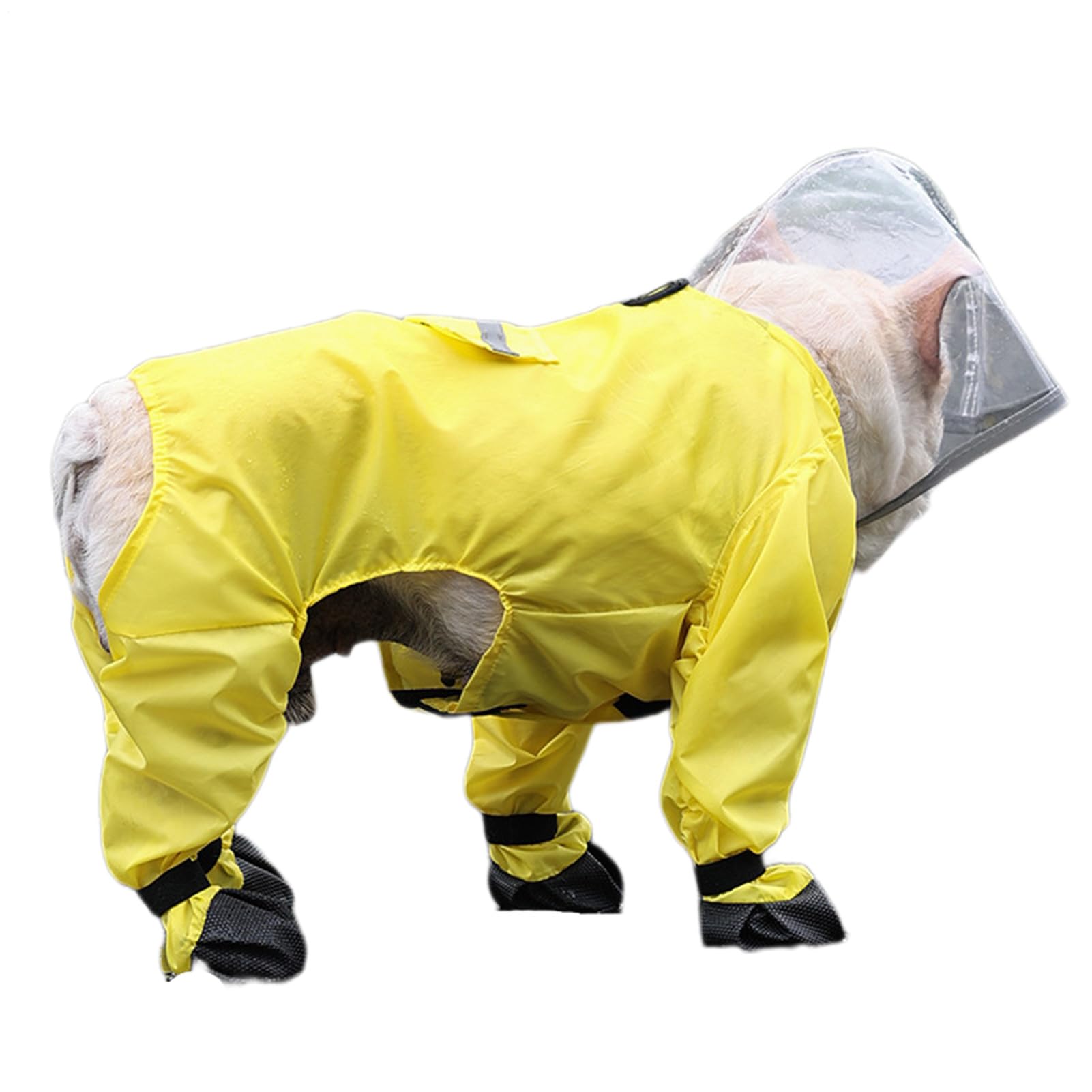 Manteau de pluie pour chien imperméable coupe-vent poncho réfléchissant teckel
