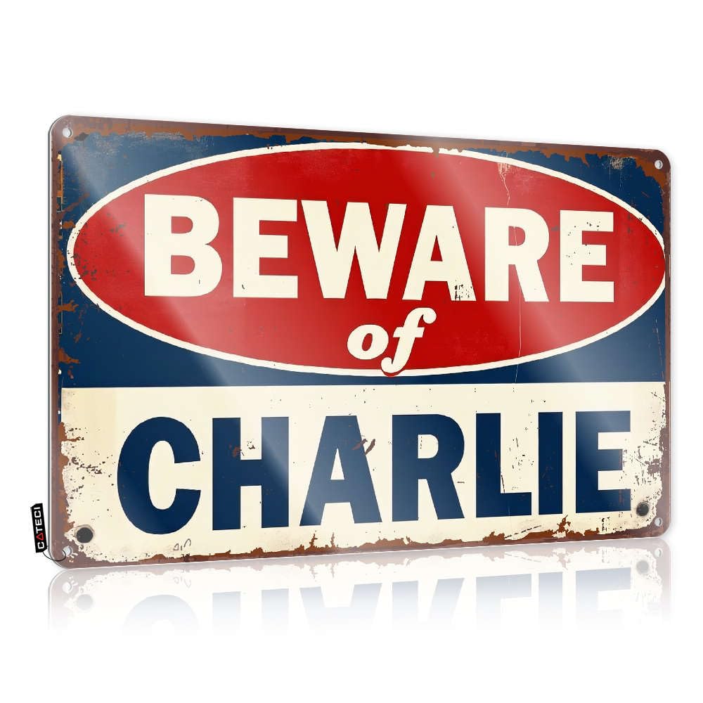 Fzfn Colour Gamers Accessories Plaques Nice | Beware Of Charlie. Preppy Mancave Decoration(20X30cm)