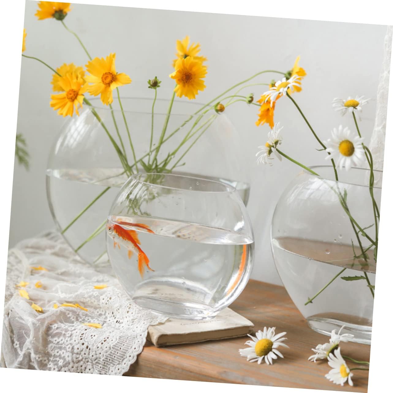 ibasenice Transparent Betta Tank Multi-Function Aquarium for Stylish Desktop Fish Bowl and Flowerpot Decor Home Accessory for Plants and Design