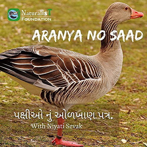 પક્ષીઓ નું ઓળખાણ પત્ર
