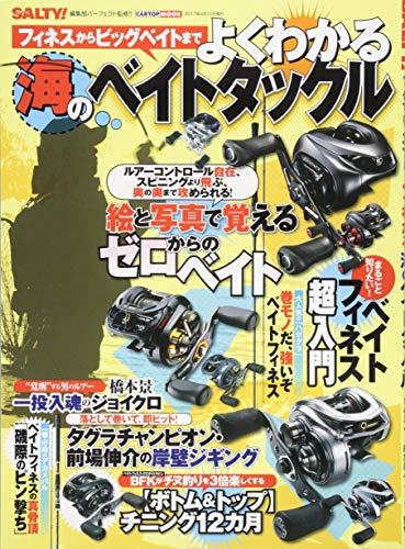 PDFダウンロード SALTY! 編集部パーフェクト監修!!フィネスからビックベイトまで よくわかる バイ