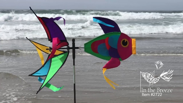マリン/スイミング WIND AND SEA - NEIGHBORHOOD WIND AND SEA NHWDS P-FLOAT Wind N Sea Swim Team Home