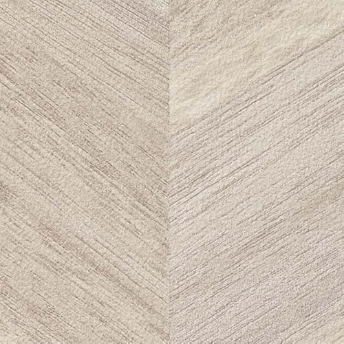 TQc t@C ǎ (NX) ЂȂ/̂薳 y1m×z FE76609 92.5cm | ؖ FINE 2023-2026