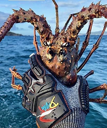 Miniatura 5 de Guantes de langosta para buceo Kevlar Pesca Submarina Guante de buceo Resistente a pinchazos