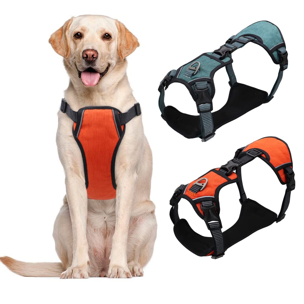 arnés para Perros, Arnés de Nylon reflexivo del Perro for los Perros medianos Grandes ningún tirón Grande for el Entrenamiento Que Camina(Orange,A)