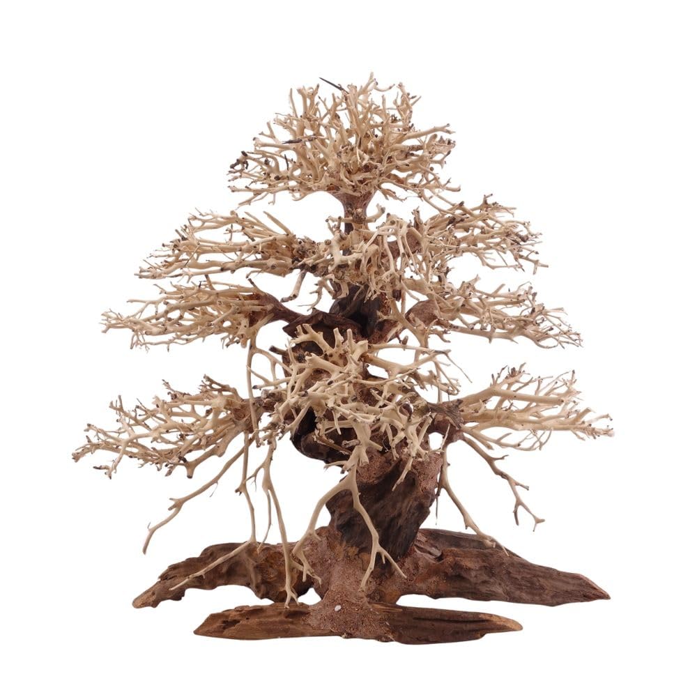 AquaOne Aquarium Premium Bonsai Baum XL Wurzel Oriental Holz 40x20x40 cm I Aquascaping Dekoration I Natur Unikat Bonsaibaum I Landschaft Deko Unterwasserlandschaft