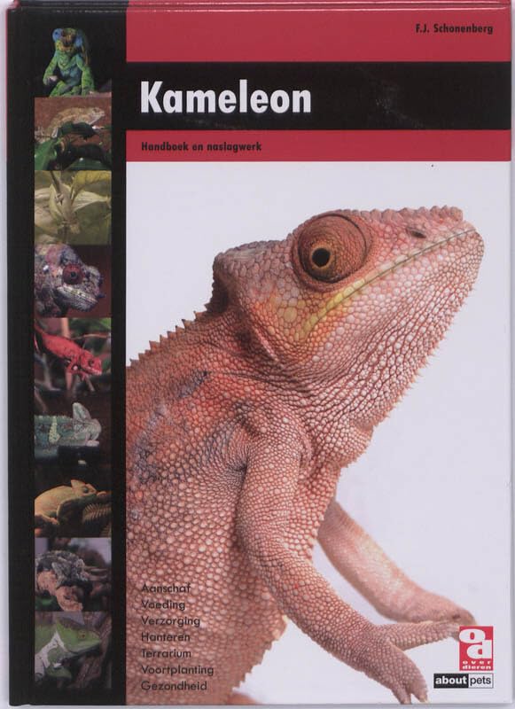 Kameleon (Over Dieren)