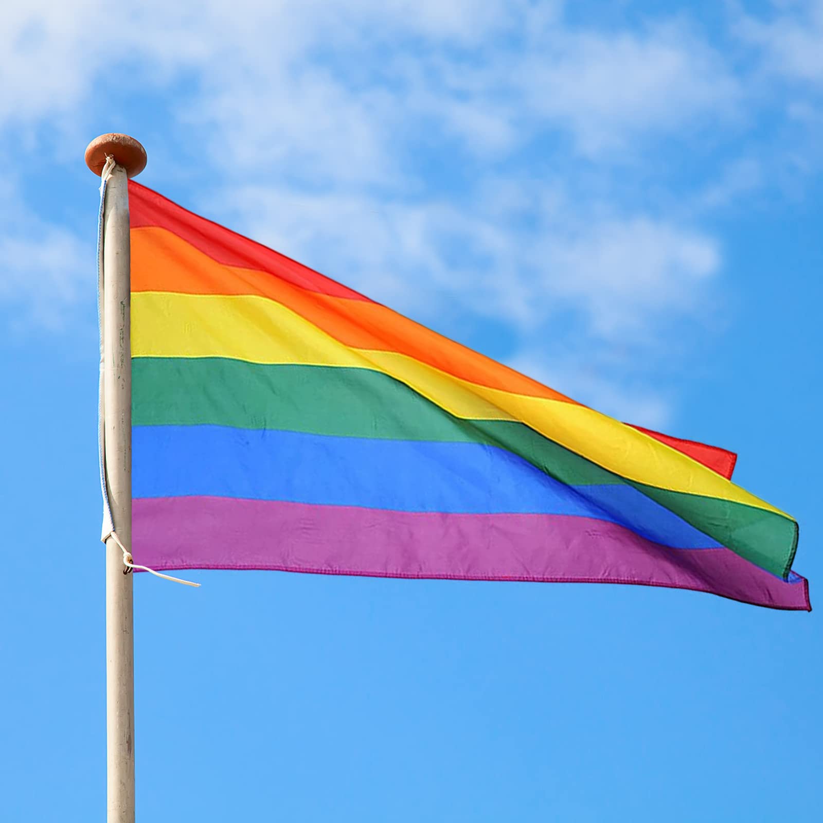 Buy TRIXES Medium Rainbow Flag LGBTQIA2s+ Pride Flags / England NHS