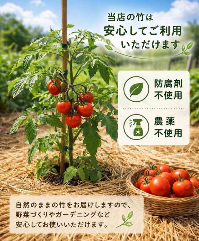 Amazon | 臼井農畜産 (自社製造) 天然竹 女竹 180cm50本 【根元カット