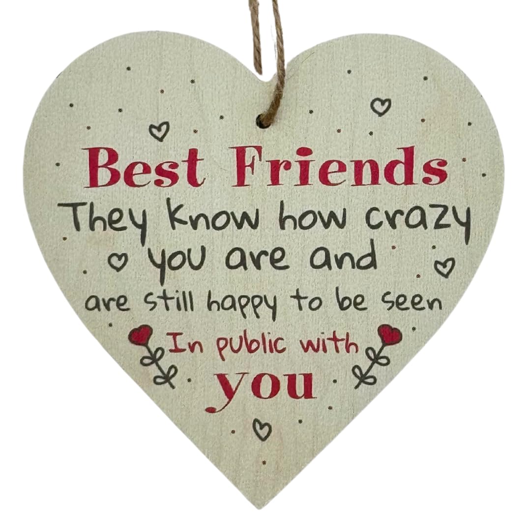 Second Ave Funny Best Friends Crazy Wooden Hanging Heart Home Friend Friendship Sign Plaque