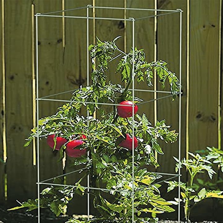 Image of Ferry-Morse 4-Piece Multi-Use Tomato Cage & Trellis Garden Plant Support