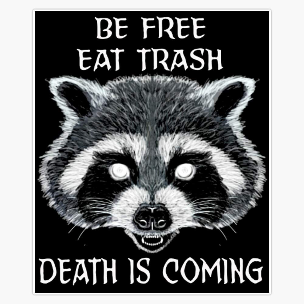 Trash Panda Meme Sticker Vinyl Bumper Sticker Decal Waterproof 5"
