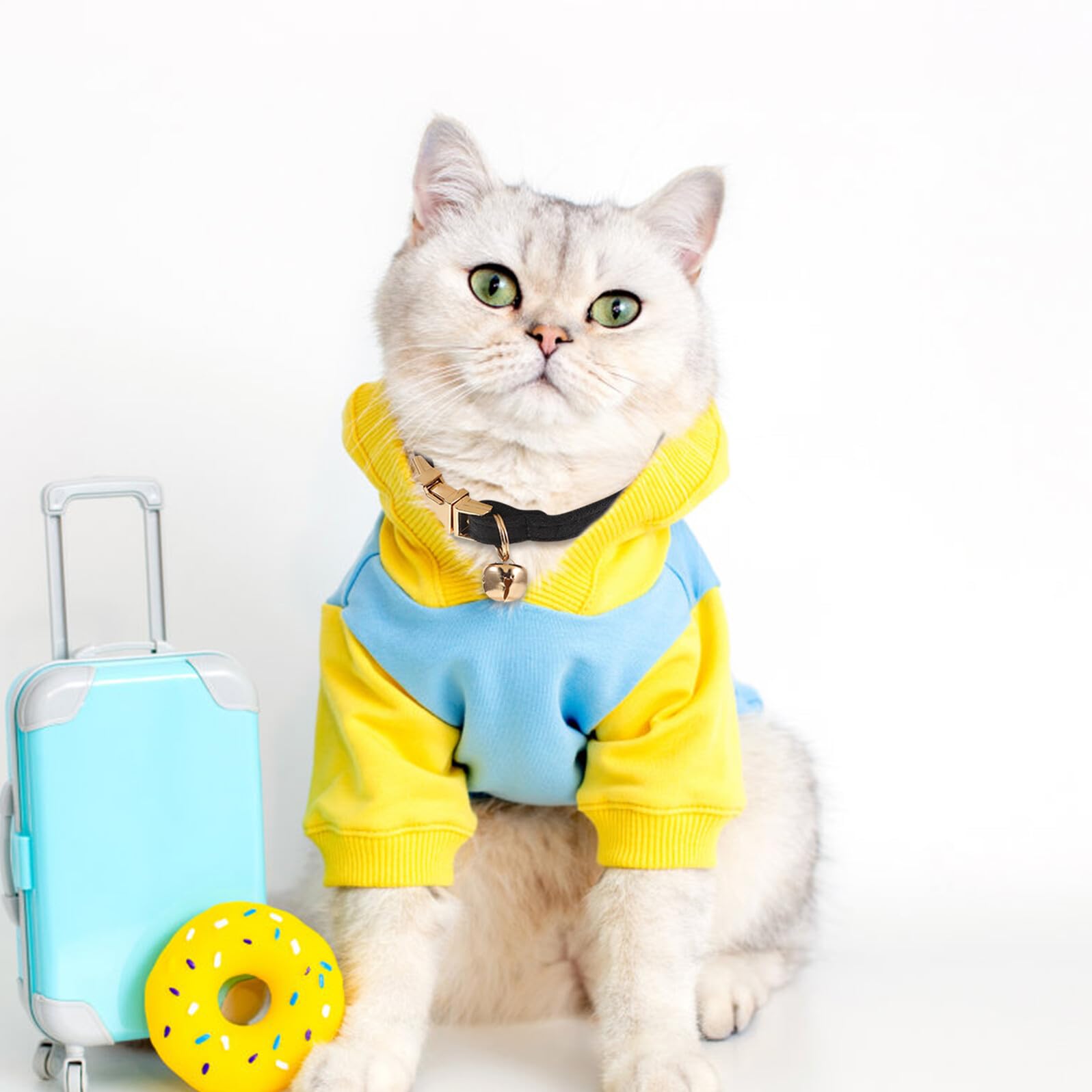 Collier pour Chat Femelle Velours Doux avec Clochette Collier Ajustable Élégant avec Boucle Dorée Confortable et Luxueux pour Chatons et Petits Chats Accessoire Raffiné pour