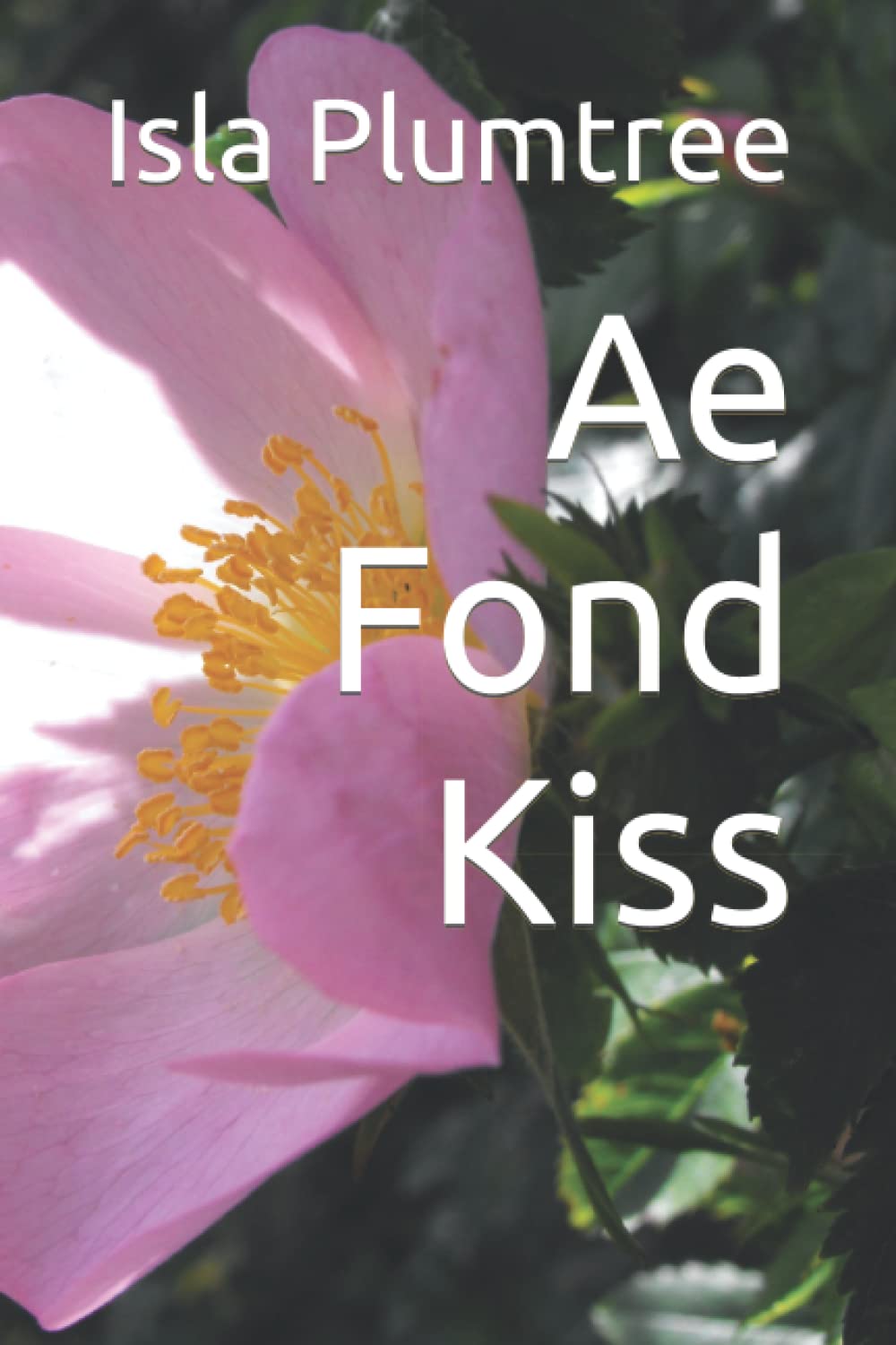 Ae Fond Kiss