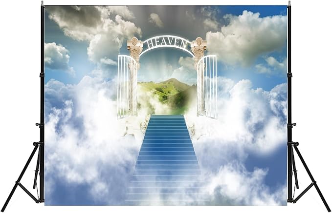 Fondo fotográfico Heaven 10x8 pies fondo para sesiones infantiles miniatura 4