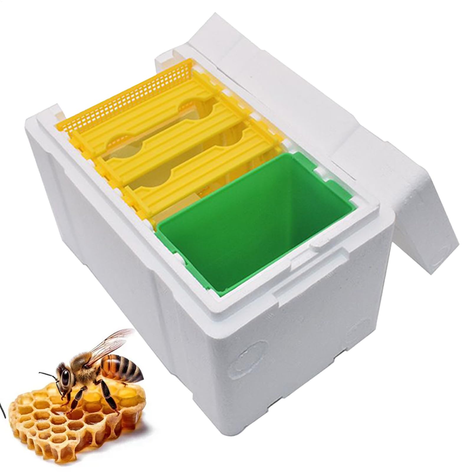 Boîte à ruche de soutien de la Reine - Optimisation des performances dans la ruche en mousse de mousse de série, accessoires de jardin avec compartiment pour débutants, terrasse de jardin d'hiberné