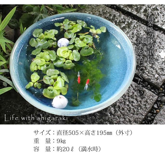 焼き物　めだか鉢　(水蓮鉢) 楽天市場】信楽焼 めだか鉢 38.5×高さ17.5cm 陶器 日本製 金魚鉢