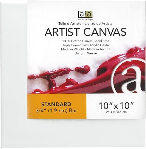 Art Advantage Lienzo de artista con borde visual 10x10