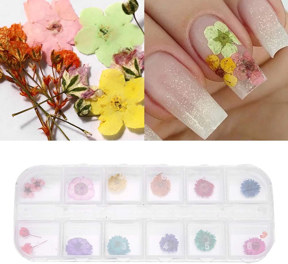 お待たせ 12色セット ネイルドライフラワー ネイルフラワー 押し花素材 ネイルサイズ 3dネイル 招待状装飾 手つくり 愛好家 Diy 装飾品 技術者 透明収納ケース付き 24枚入り D Www Squadracorsedriverless Com