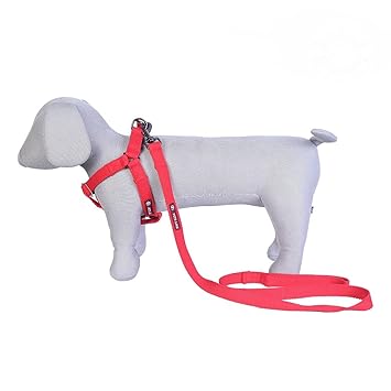 Pets Like Spun Poly V Harness with Leash Set Red (Small)