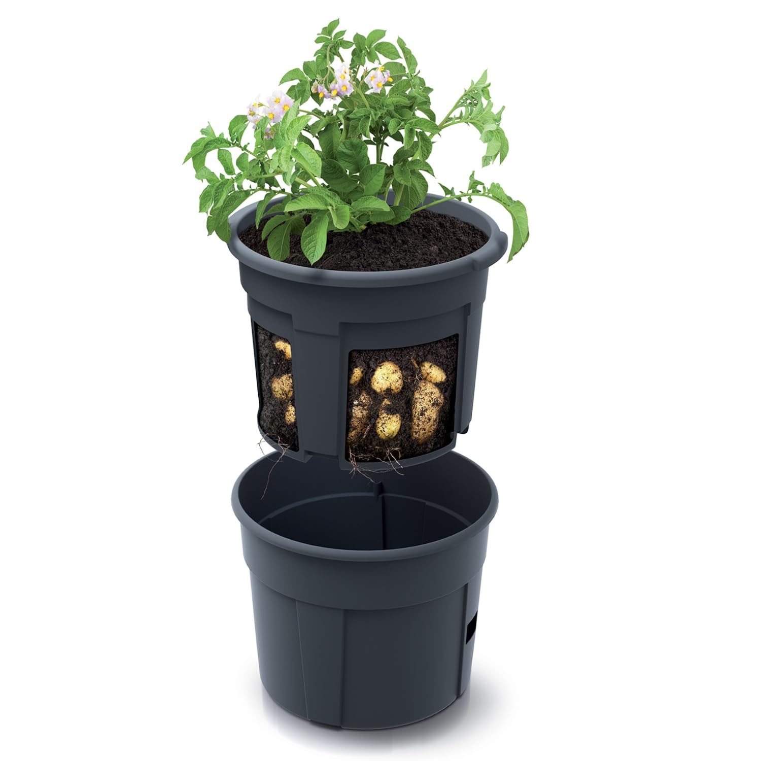 B2c Black 12L Potato Grower Pot No-Dig Harvest Planter For Potatoes, Sweet Potatoes & Root Vegetables Weather-Resistant Container For Balcony, Patio & Small Space Gardening 30Cm (1)