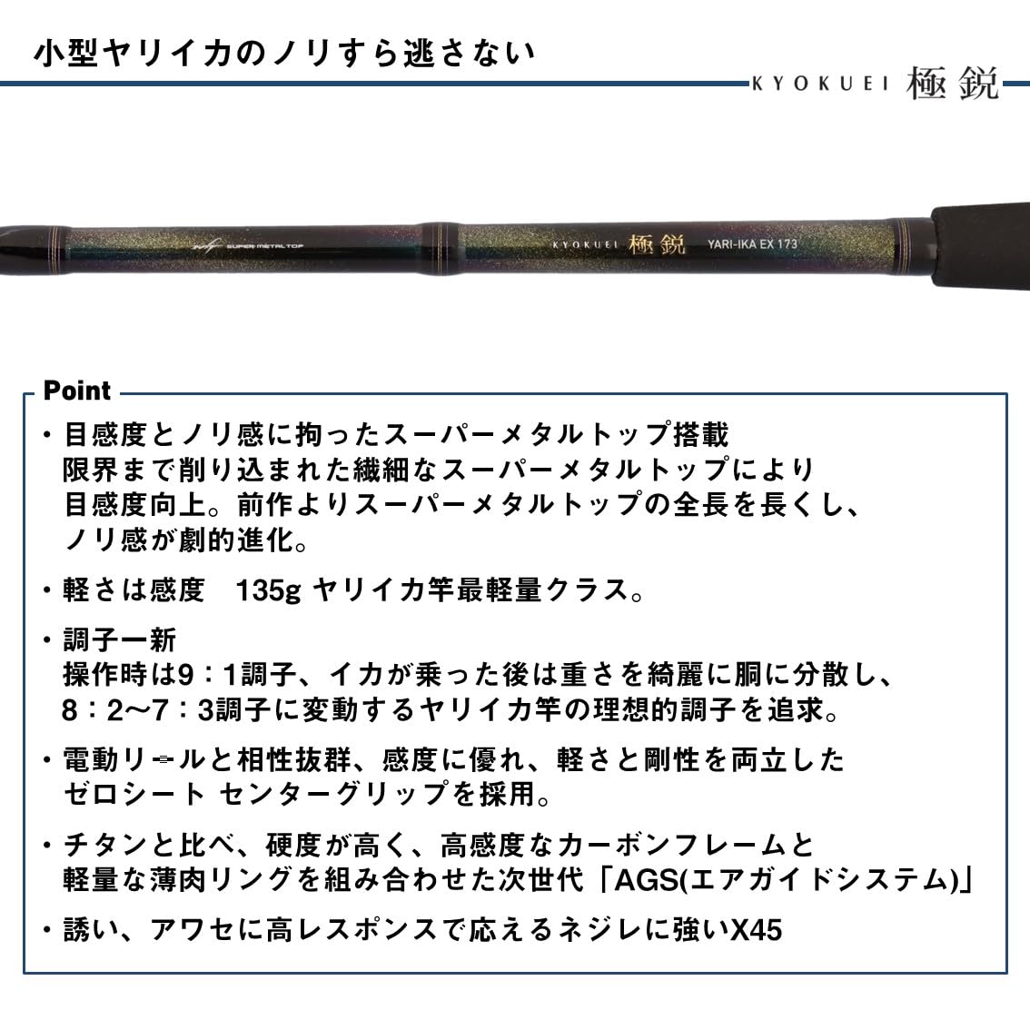 Amazon | ダイワ(DAIWA) 船竿 極鋭ヤリイカ EX 173・J | ダイワ(DAIWA