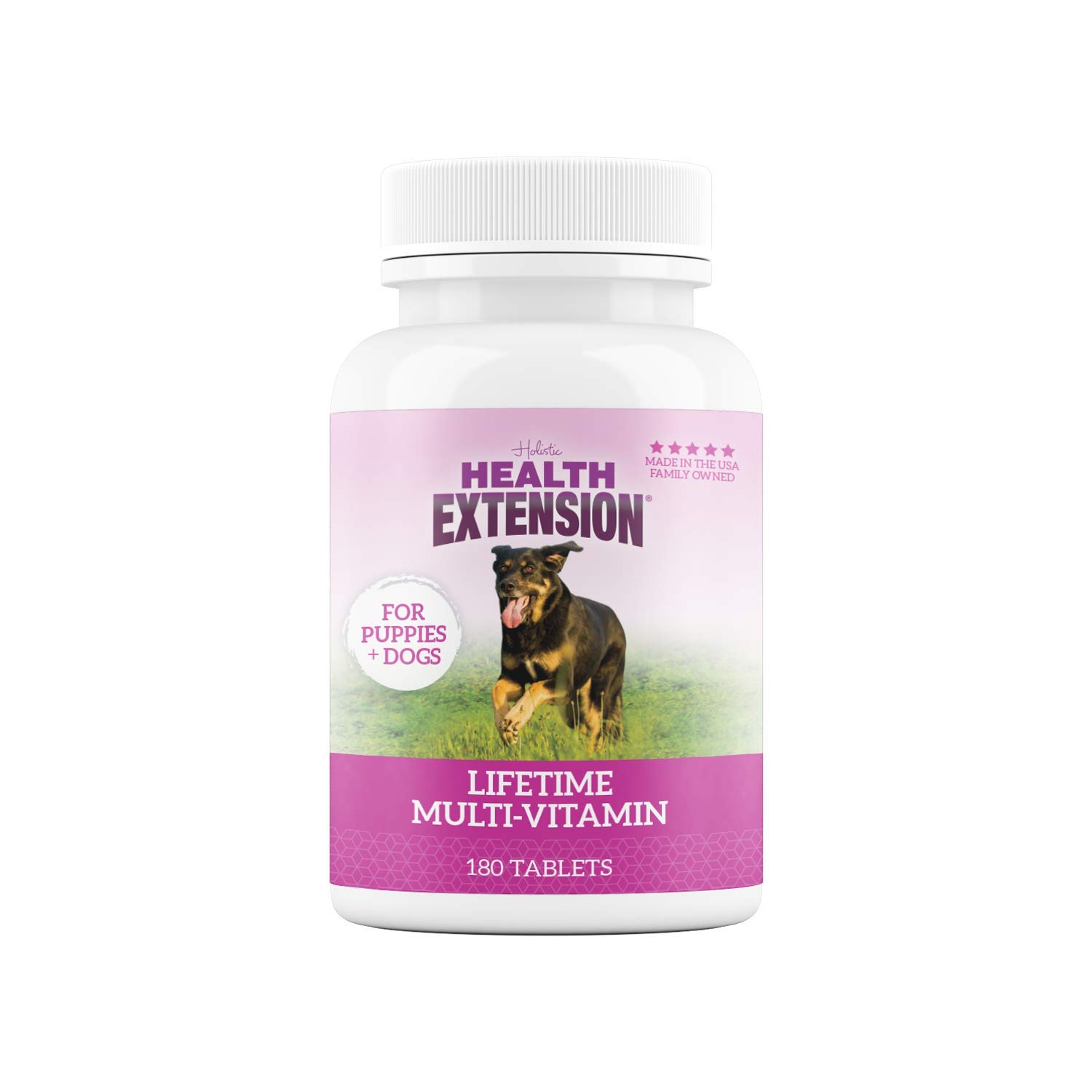 How Does B12 Help Dogs