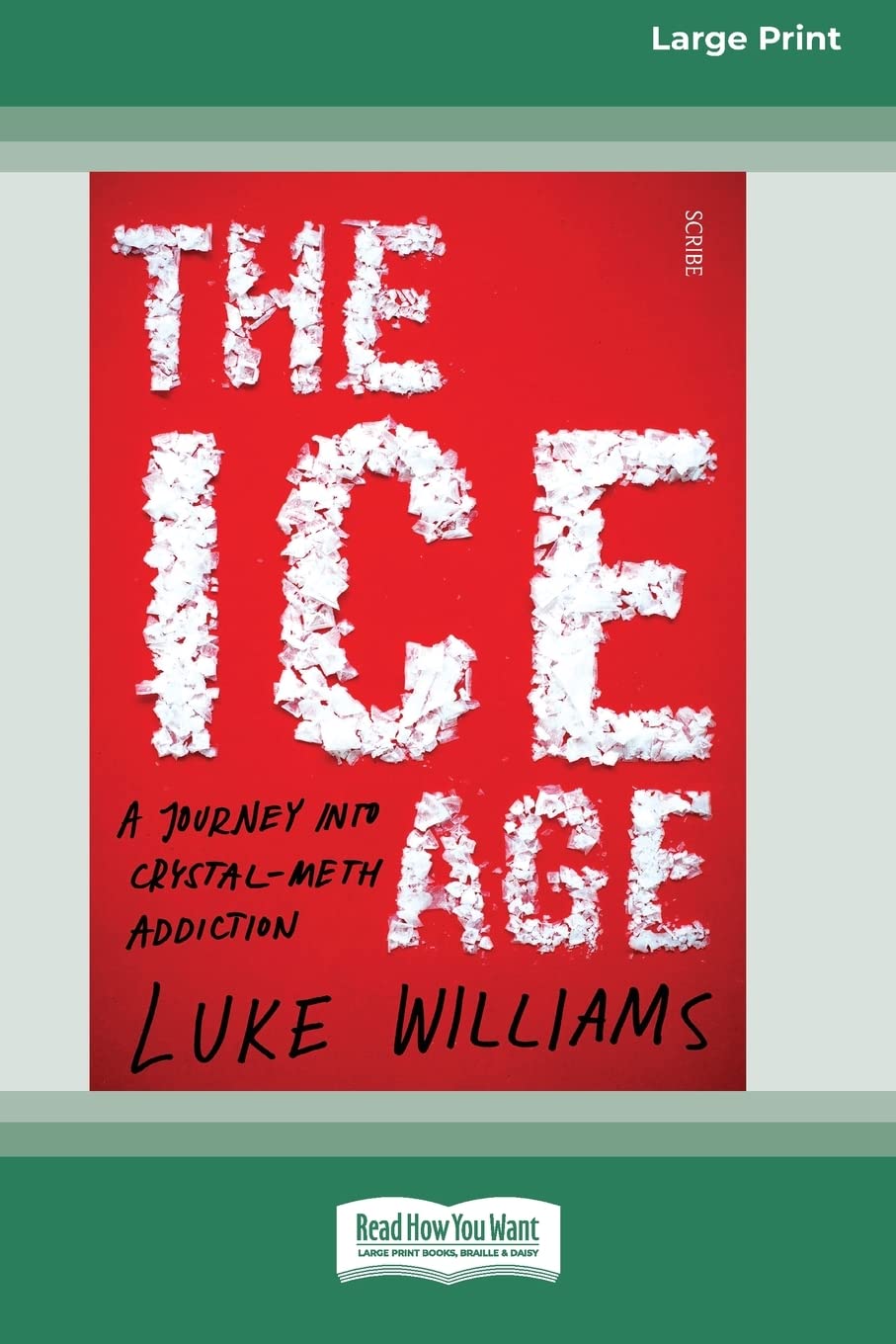 The Ice Age: A Journey into crystal-meth addiction Paperback – Large Print, August 19, 2016
