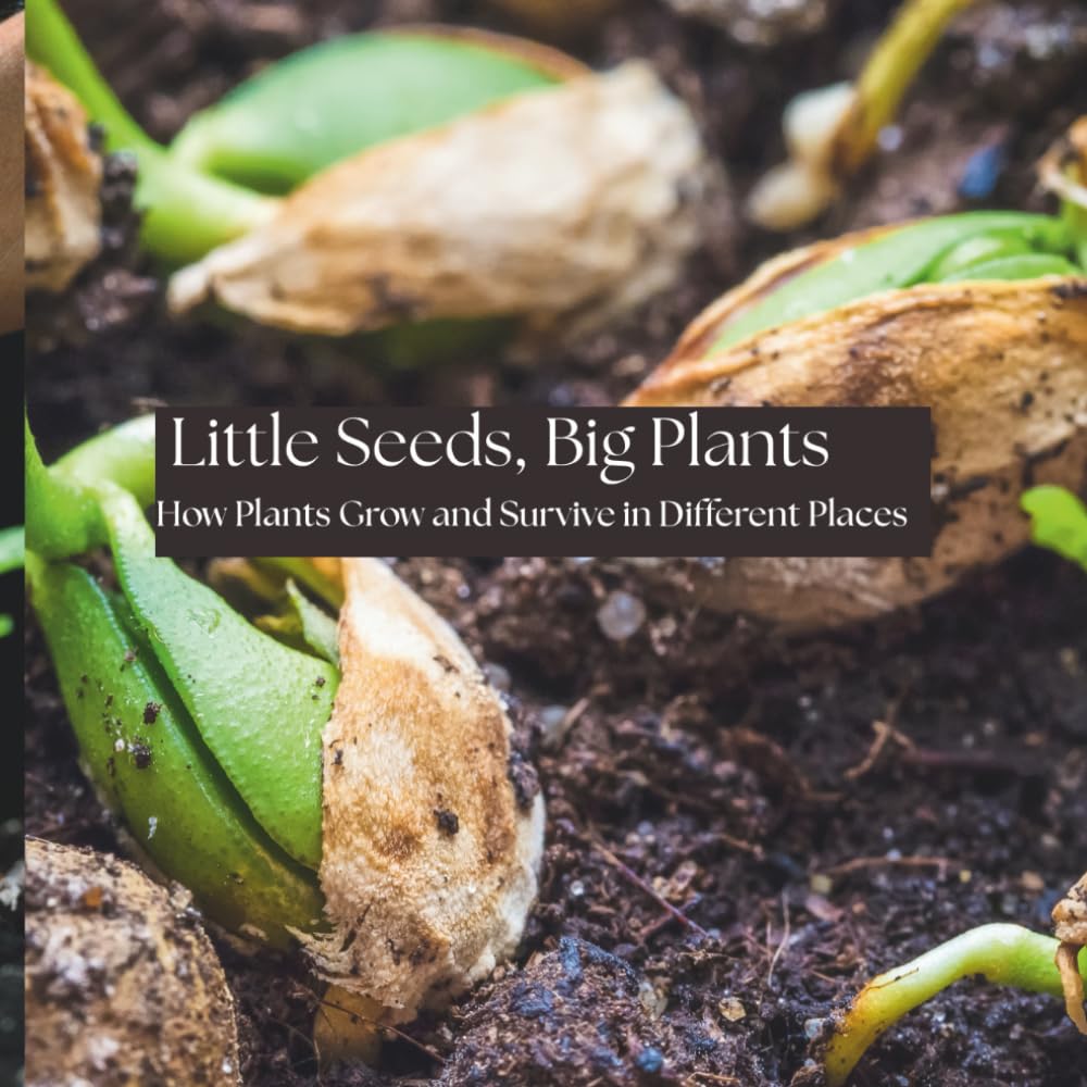 Little Seeds, Big Plants: How Plants Grow and Survive in Different Places