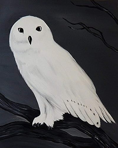 Nieve Búho por Ed capeau 16x 12Póster Pared decoración Snowy Simbolismo Magia Suerte la fuerza Sabiduría Nocturnal Color Blanco