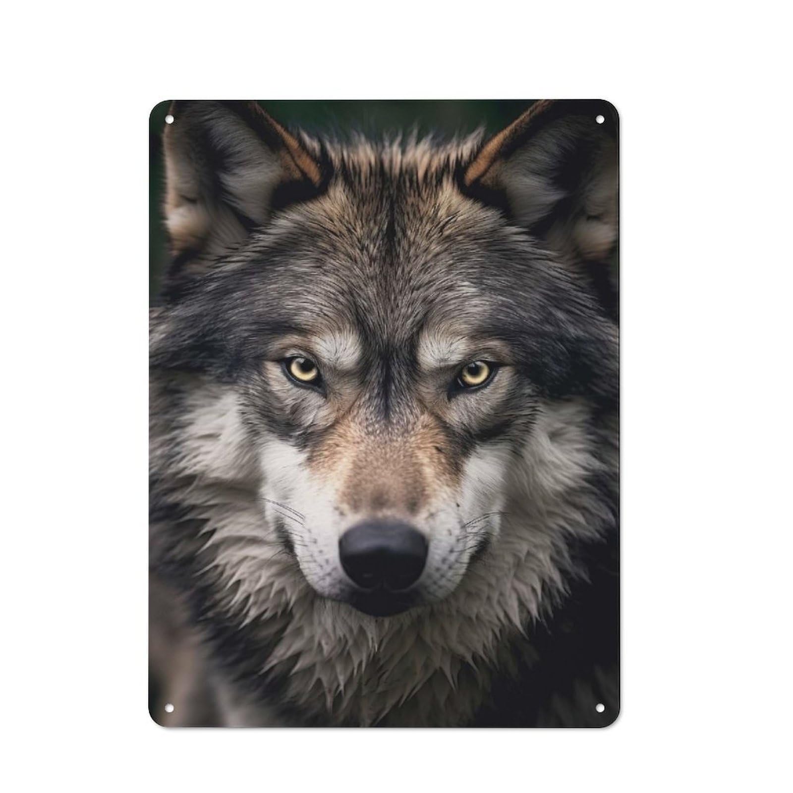 Wolf Wildlife Portrait Decorative Tin Plaque 40x30cm, Decorative Novelty Wall Art for Hallway, Home Bar, Garage Or Study