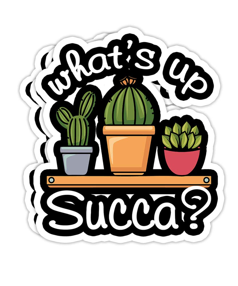 What Up Succa Succulent Plant Gardening Cactus Lover- 4x3 Vinyl Stickers, Laptop Decal, Water Bottle Sticker (Set of 3)