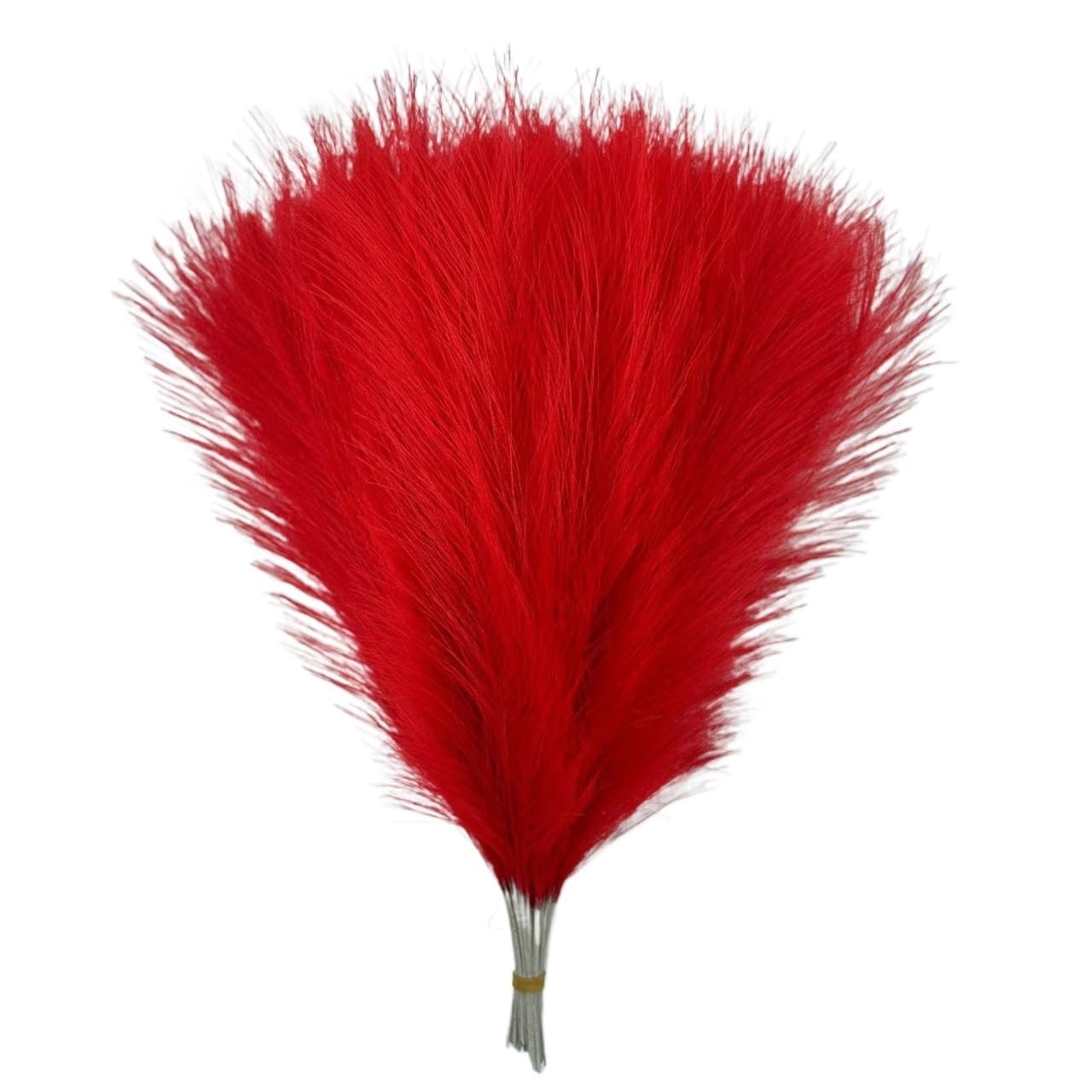 Fausses Plantes Simulées Fleurs Séchées， 1/5/10/30pcs herbe de Pampas artificielle Bouquet d'herbe de Pampas(076red,5pcs)
