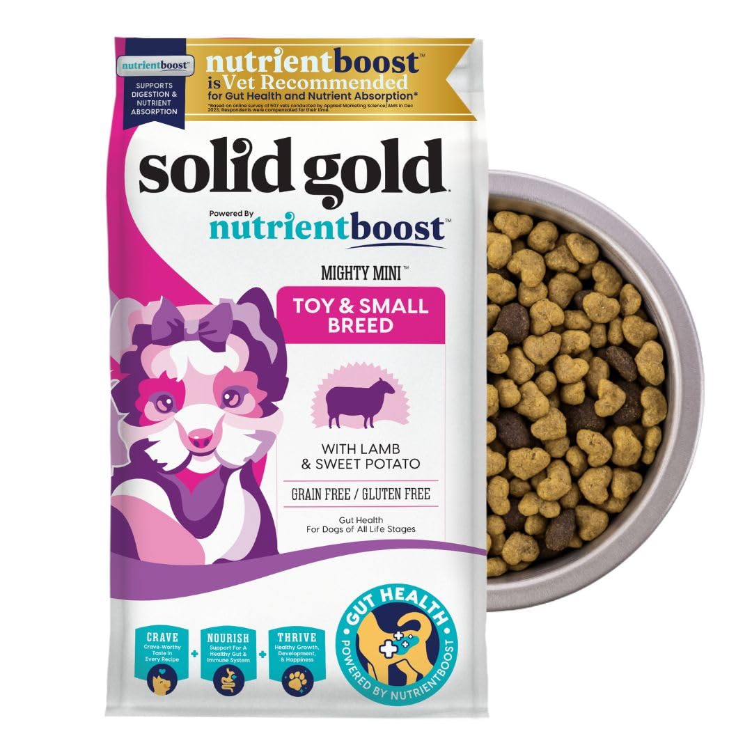 Solid Gold Toy & Small Breed Dry Dog Food Small Bites – Real Lamb, Grain Free, Gluten Free, High Fiber Healthy Kibble w/Probiotics for Gut Health & Digestion Support– All Ages NutrientBoost™ –11LB