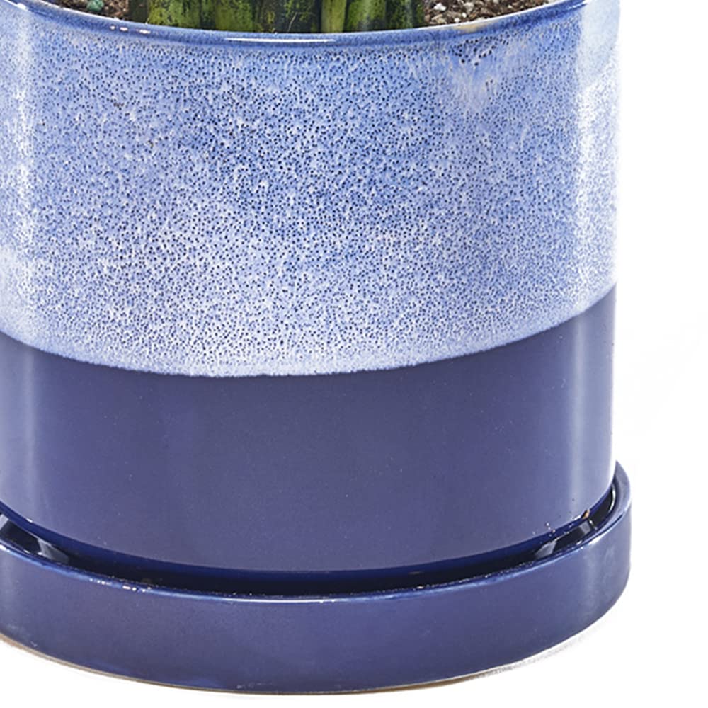 Jive � Minuto, suculento, cactus y platillo de cer�mica para flores y plantas con agujero de drenaje y platillo desmontable, ideal para decoraci�n de interiores y exteriores