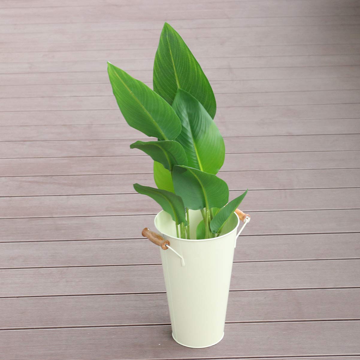 Amazon｜金属製の花瓶 アイアン シャビーシック ピッチャー 花瓶