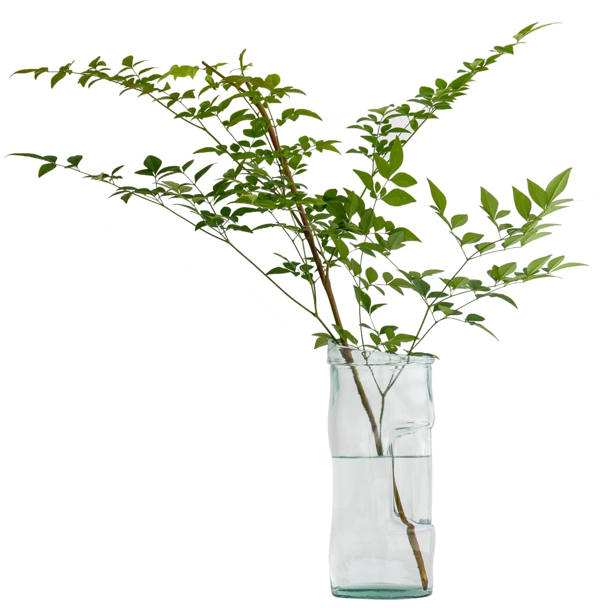 Amazon.co.jp: SANMIGUEL（サンミゲル） 花瓶 リサイクル ガラス