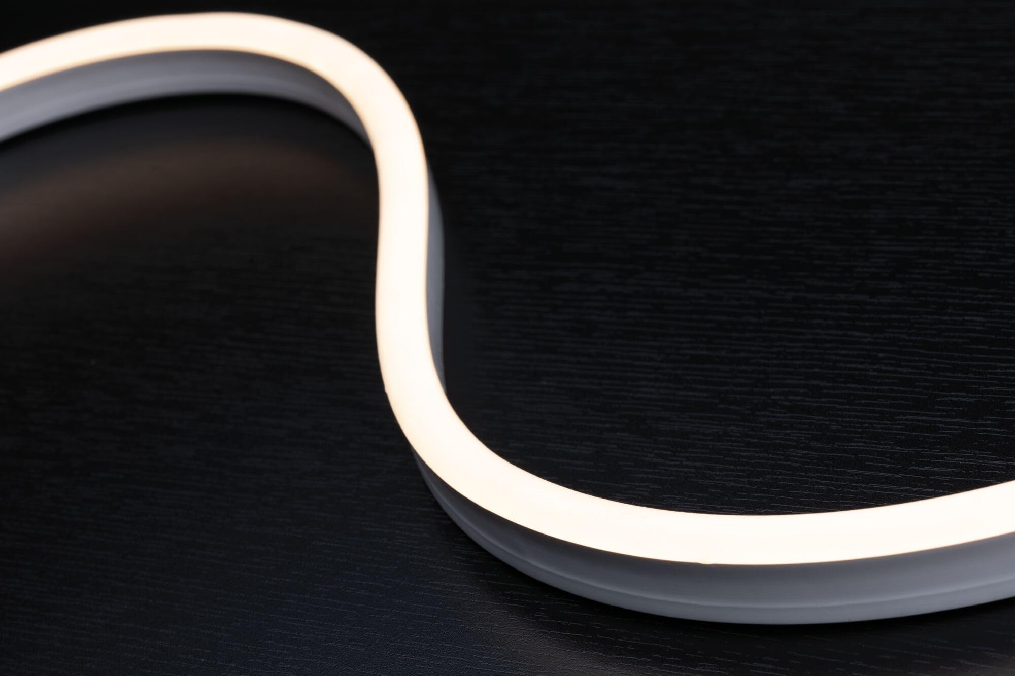 Paulmann 94191 Plug & Shine LED luminaire d'extérieur flexible Strips Neon incl. 1x31 watts IP67 gradable extérieur Blanc luminaire de jardin plastique éclairage de jardin 3000 K