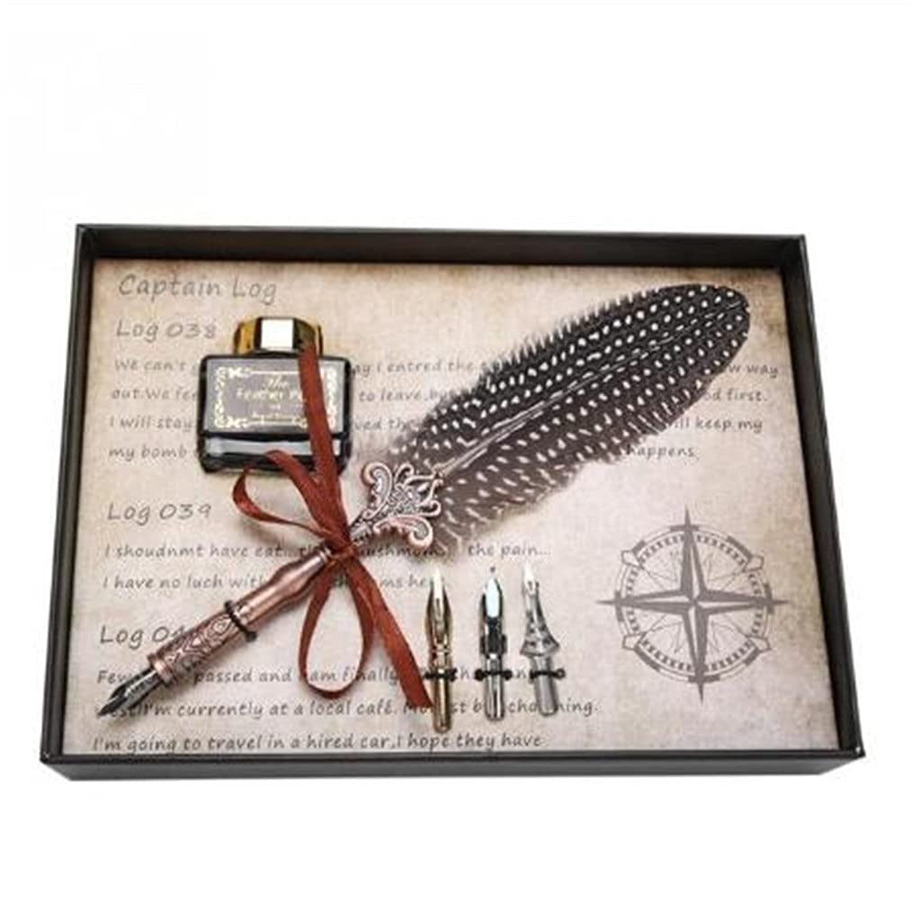 Penna stilografica con 3 pennini, in stile retrò, classica, confezione regalo per scuola, compleanno, calligrafia (D)