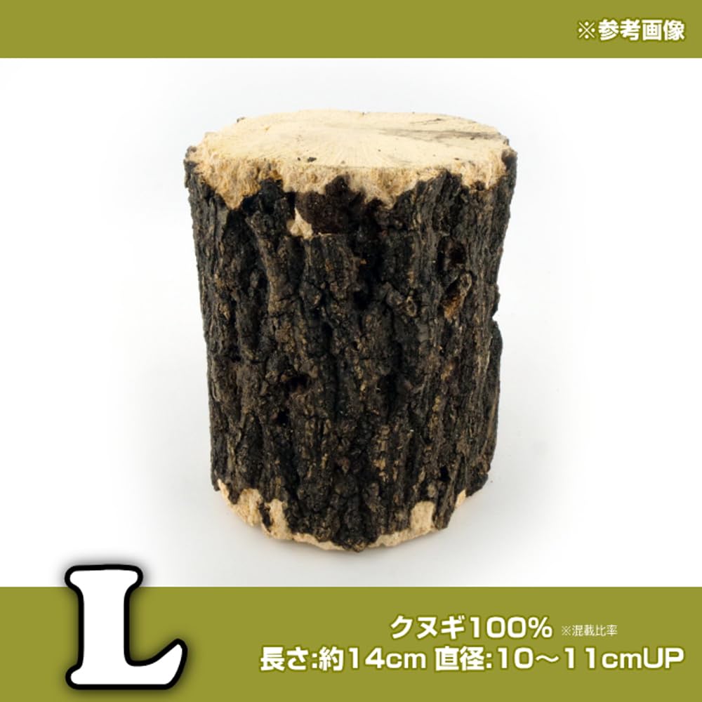 Amazon | 産卵木 Lサイズ クヌギ材 11～12本セット｜クワガタ繁殖用