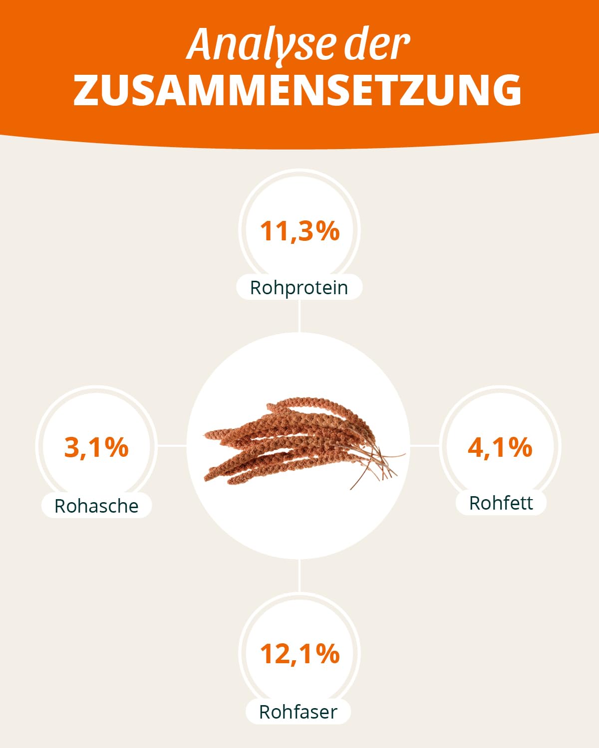 petifool Proso kolby czerwone 500 g – pasza dla wszystkich ptaków ozdobnych – karma dla ptaków – 100% naturalna
