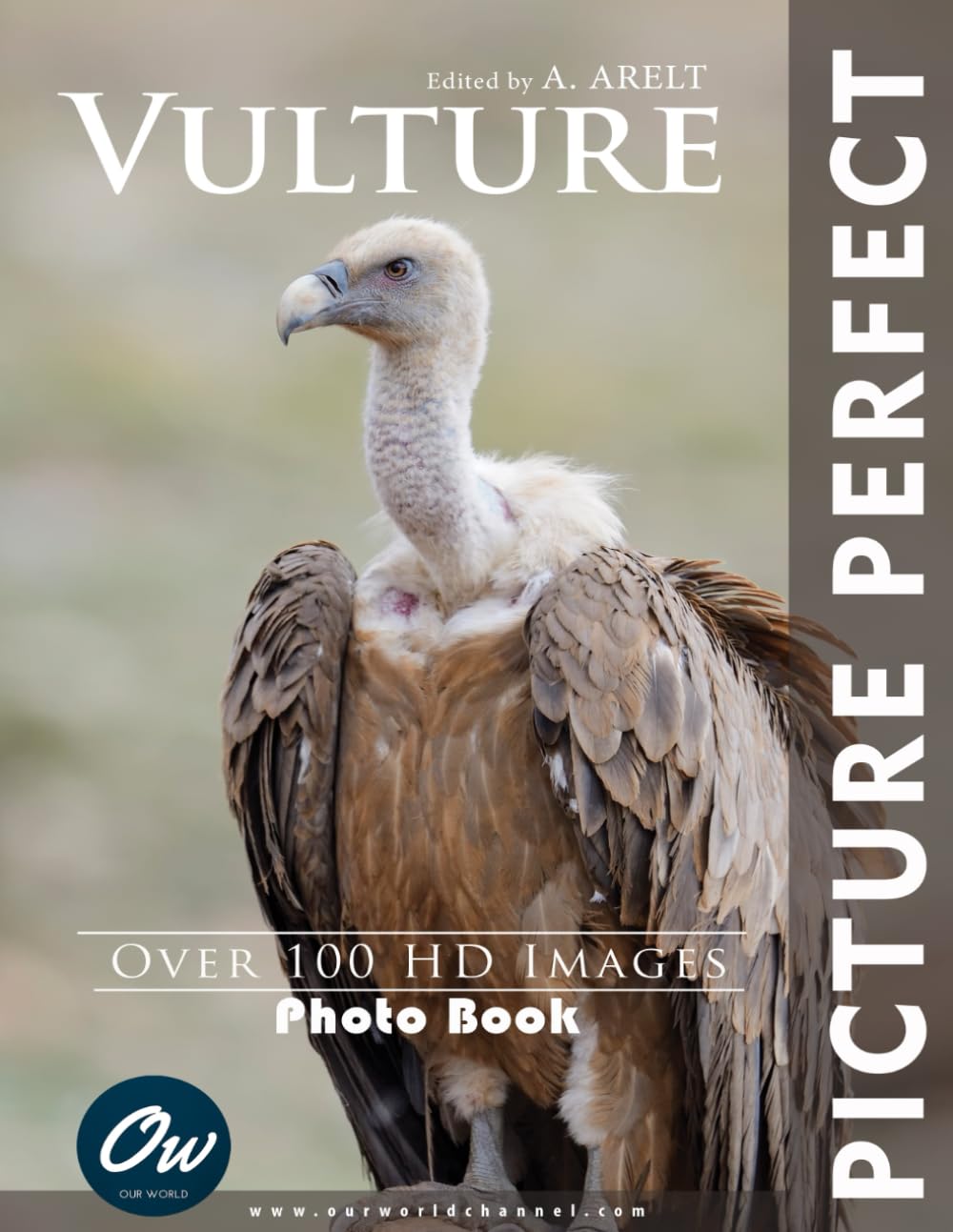 Vulture: Picture Perfect Photo Book