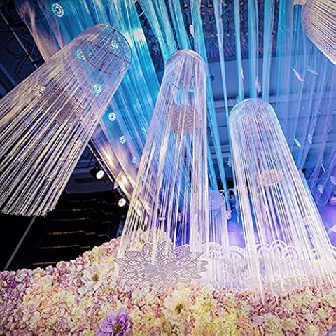 Laugh Cat Romantic Glitter White Stage Backdrop Decoration Fringe Lined Curtain Ferris Wheel Ceiling Hanging Decoration (Shining White) Cover