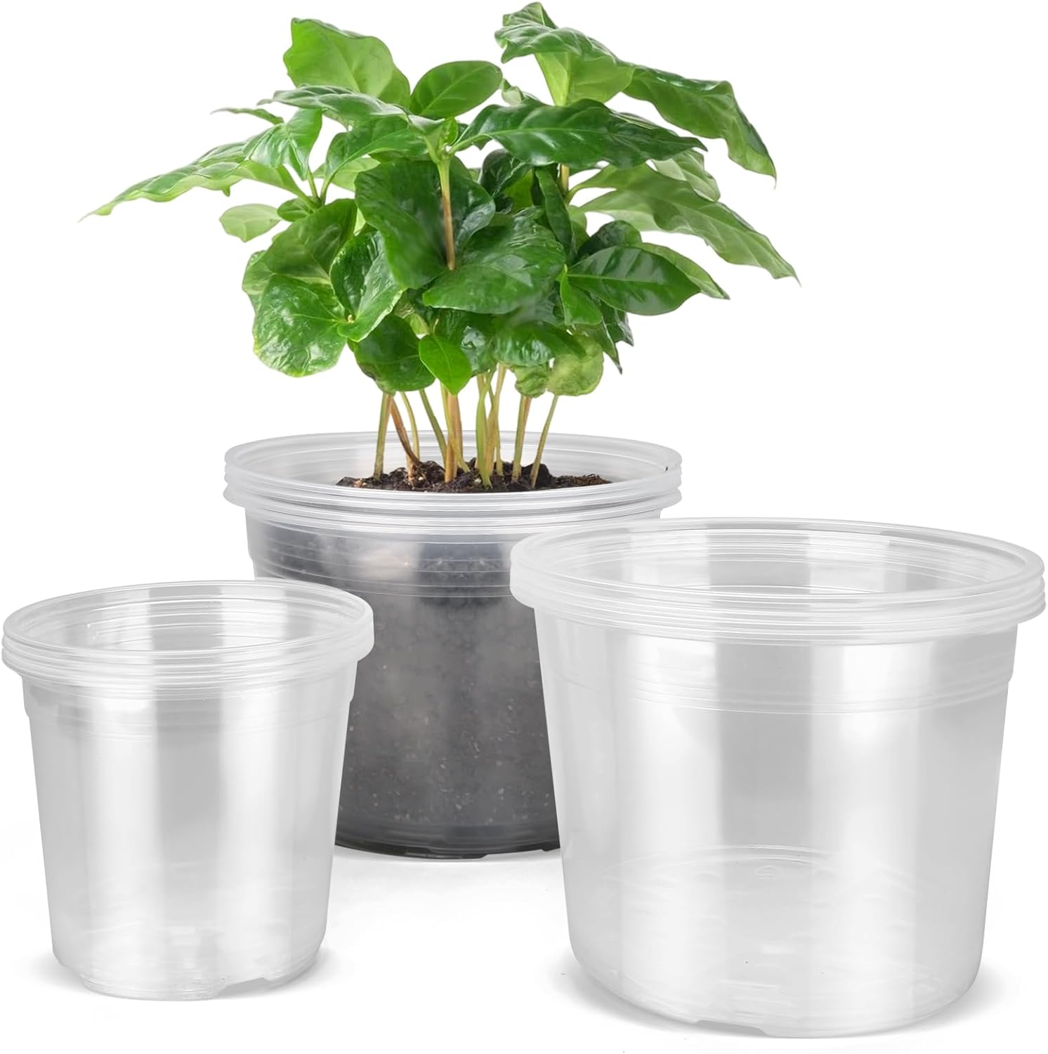 6/8/10 Inch Large Clear Nursery Pots with Drainage, 10 Pack Plastic Pots for Plants, Ideal Seedling Pots and Plant Pots for Vegetables, Orchids, Aloe, Indoor Outdoor Use (6 8 10 inch)
