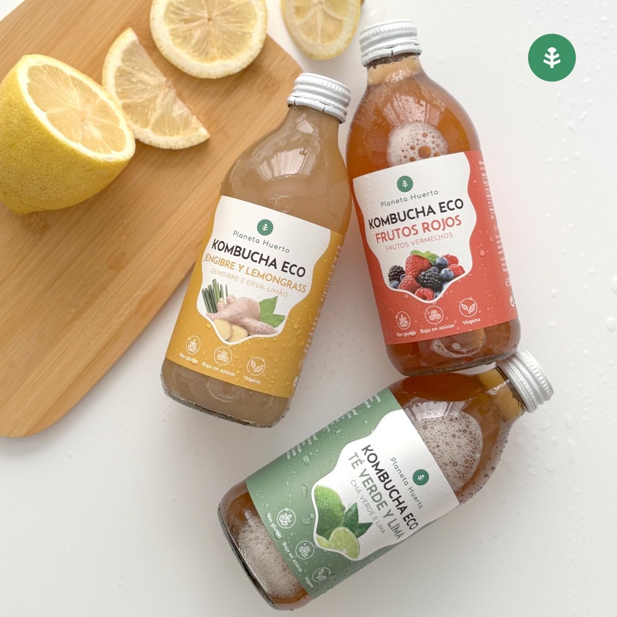 PLANETA HUERTO | Lot de 6x Kombucha ECO Fruits Rouges 330 ml | Fermentation Naturelle | Probiotiques pour le Système Digestif