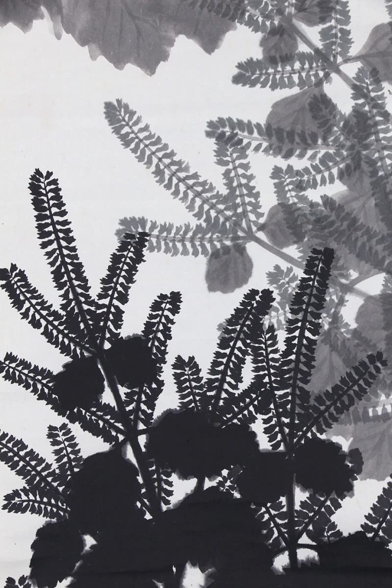 Amazon.co.jp: 真作 佳品掛軸「長野草風 山野草図」日本画家 邨田丹陵