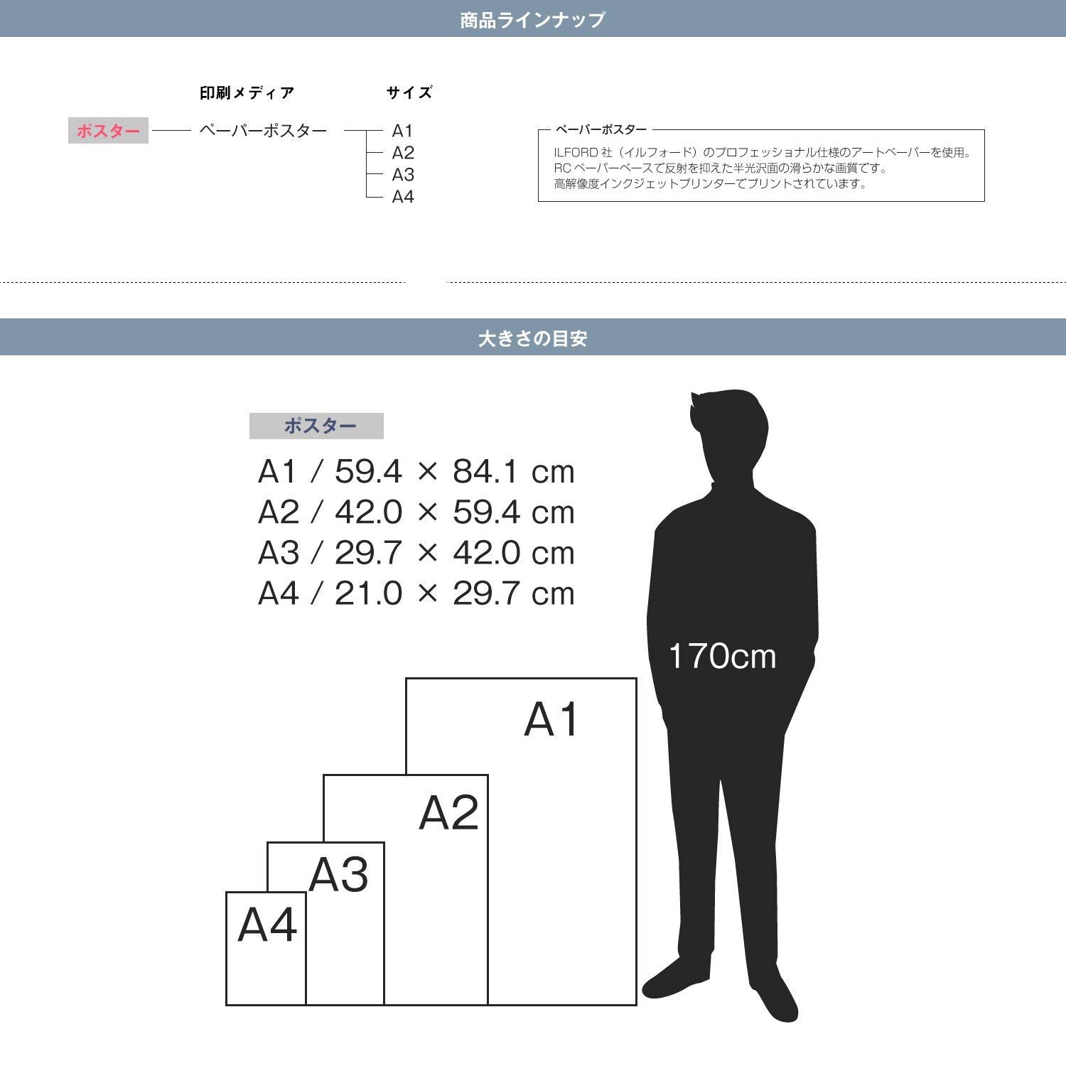 Amazon.co.jp: STAR DESIGN POSTERS #td37 A1サイズ 【ペーパー