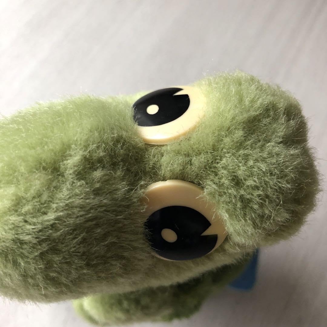 Amazon.co.jp: シーガイア ぬいぐるみ ランディ カメ スケボー : おもちゃ